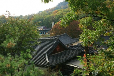사당동납골당